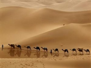 جادە تمدن