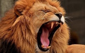 معاملە آدمها